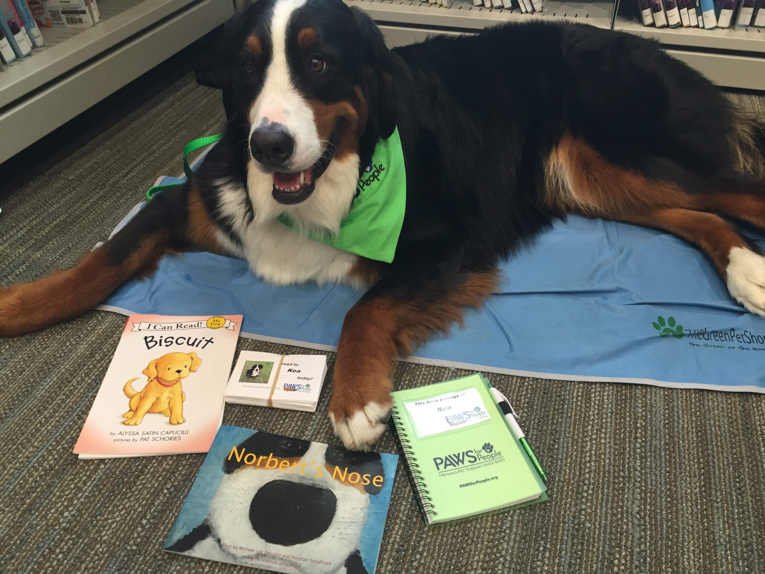 PAWS for Reading