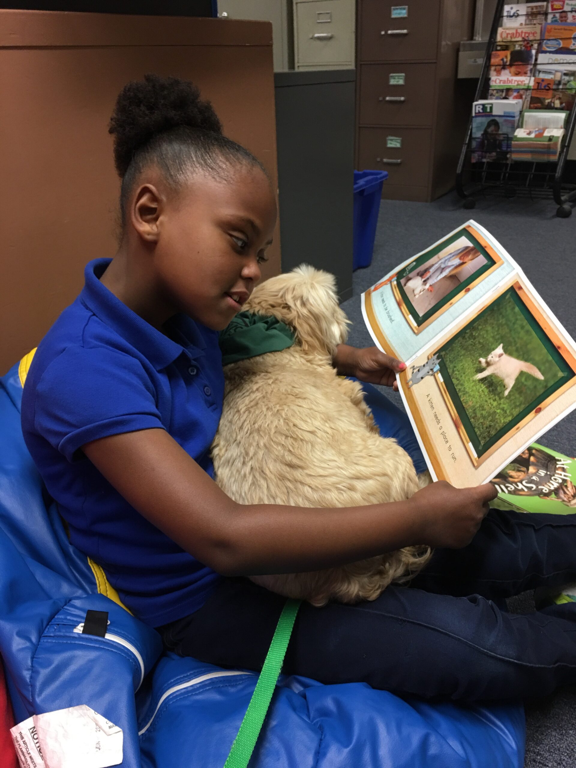 PAWS for Reading
