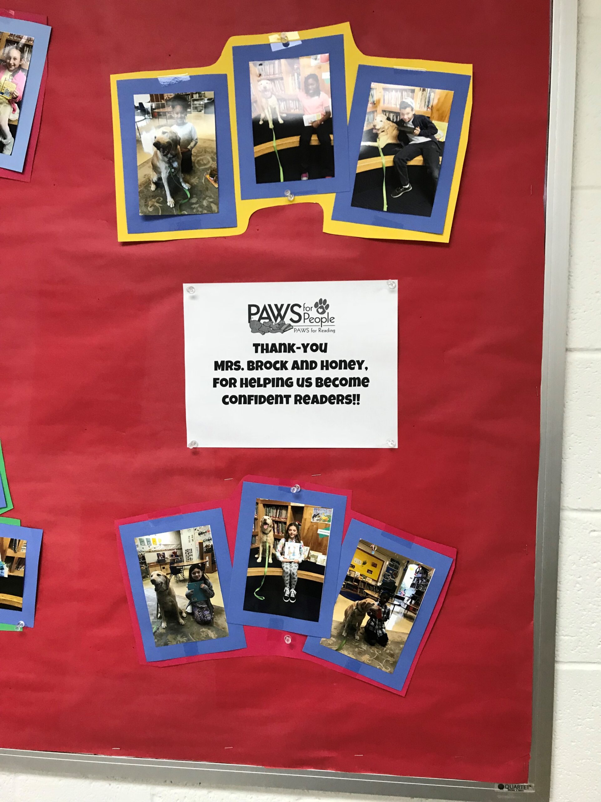 PAWS for Reading