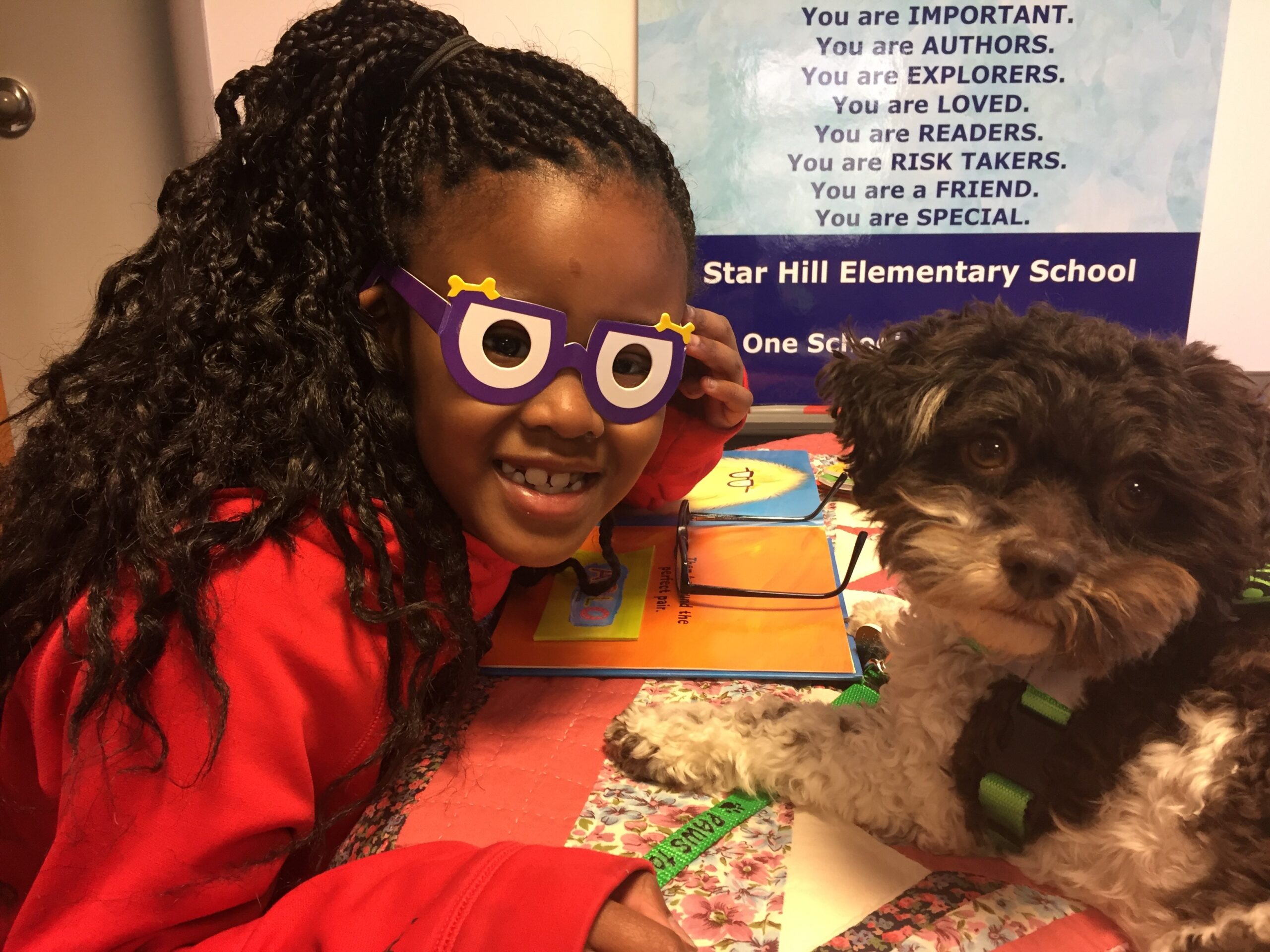 PAWS for Reading