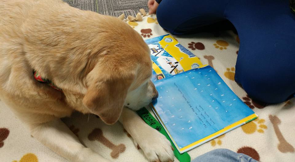 PAWS for Reading